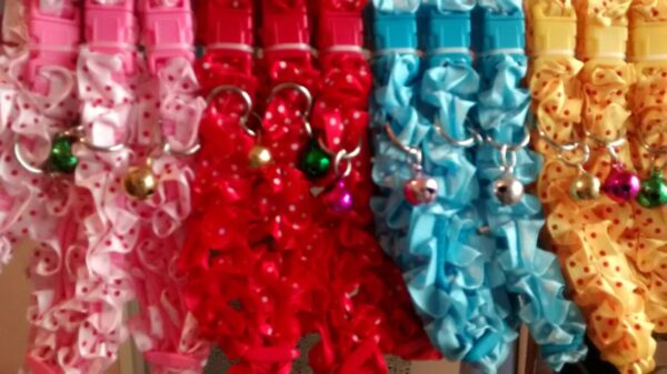 Collares para perros